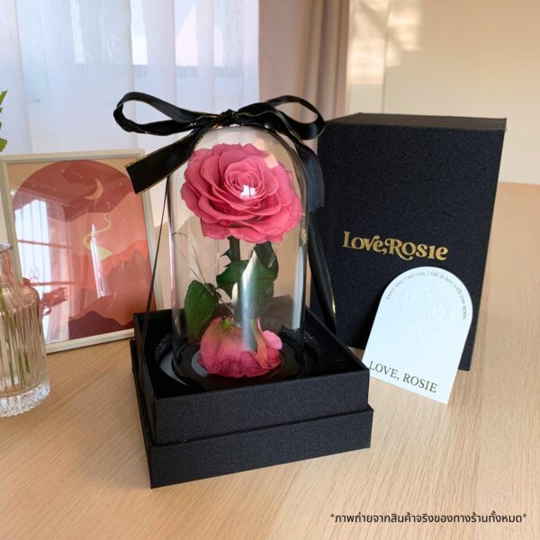 ดอกไม่ในโหล ขาย inspy (2)