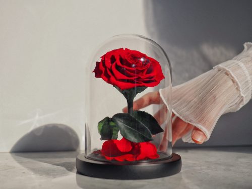 D87A831D-64FF-4F2C-83BA-E56F71AFB1E1 {"ARInfo":{"IsUseAR":false},"Version":"1.0.0","MakeupInfo":{"IsUseMakeup":false},"FaceliftInfo":{"IsChangeEyeLift":false,"IsChangeFacelift":false,"IsChangePostureLift":false,"IsChangeNose":false,"IsChangeFaceChin":false,"IsChangeMouth":false,"IsChangeThinFace":false},"BeautyInfo":{"SwitchMedicatedAcne":false,"IsAIBeauty":false,"IsBrightEyes":false,"IsSharpen":false,"IsOldBeauty":false,"IsReduceBlackEyes":false},"HandlerInfo":{"AppName":2},"FilterInfo":{"IsUseFilter":false}}